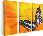 Artaza Toile Peinture Triptyque Papillon Sur Une Bloem Oranje - 120x80 - Photo Sur Toile - Impression Sur Toile