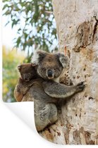 Muurstickers - Sticker Folie - Koala - Baby - Eucalyptus - 60x90 cm - Plakfolie - Muurstickers Kinderkamer - Zelfklevend Behang - Zelfklevend behangpapier - Stickerfolie