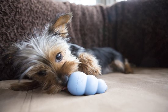 KONG Puppy Speelgoed - Willekeurige Kleur Roze of Blauw - Rubber – 10 cm - L
