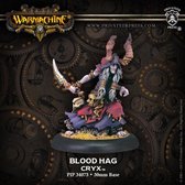 Cryx Satyxis Blood Hag