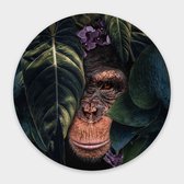 Muurcirkel Jungle Chimpanzee Round - Papier - Meerdere Afmetingen & Prijzen