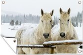 Muurdecoratie Paarden - Sneeuw - Hek - 180x120 cm - Tuinposter - Tuindoek - Buitenposter