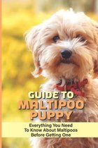 Guide To Maltipoo Puppy: Everything You Need To Know About Maltipoos Before Getting One