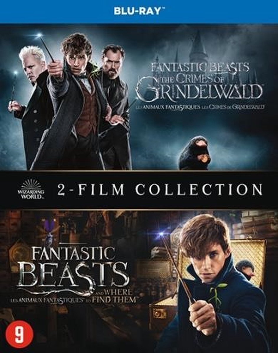 L’intégrale du Monde des sorciers : Harry Potter & Animaux fantastiques  [Blu-ray]