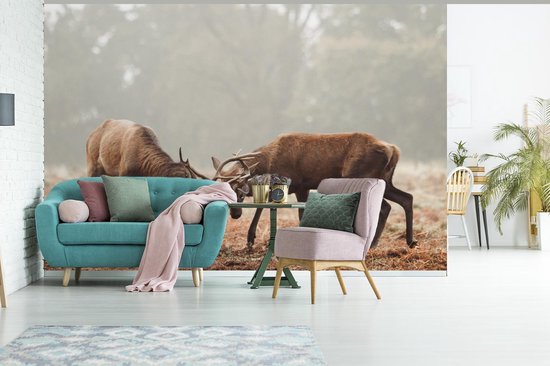 Papier peint - Papier peint photo Cerf - Forêt - Herbe - Largeur 330 cm x hauteur 220 cm