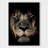 Poster Lion Close-up ² - Dibond - Meerdere Afmetingen & Prijzen | Wanddecoratie - Interieur - Art - Wonen - Schilderij - Kunst