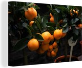 Canvas Schilderij Fruit - Sinaasappel - Boom - 30x20 cm - Wanddecoratie