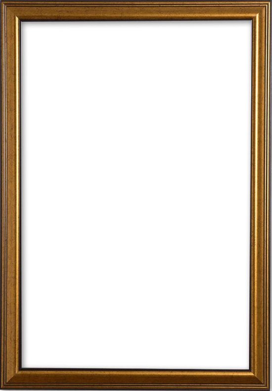 Klassieke Lijst 45x60 Goud - | bol.com