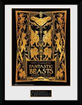 Fantastic Beasts 2: Book Cover Collector Print