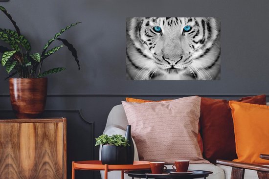 Stickers Stickers muraux - Tigre - Tête - Nez - 60x40 cm - Feuille adhésive