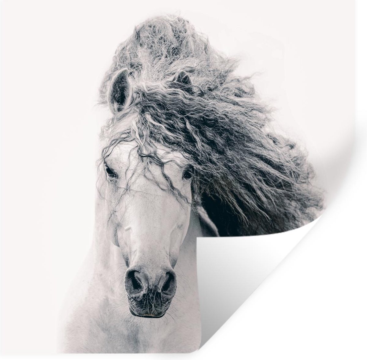 Muurstickers - Sticker Folie - Paard - Wit - Haar - 30x30 cm - Plakfolie - Muurstickers Ki