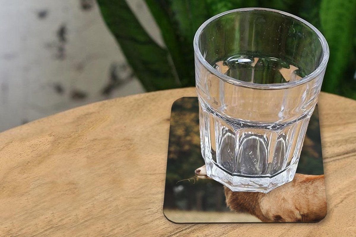 Onderzetters voor glazen - Hert - Gras - Bos - Gewei - 10x10 cm - Glasonderzetters - 6 stuks