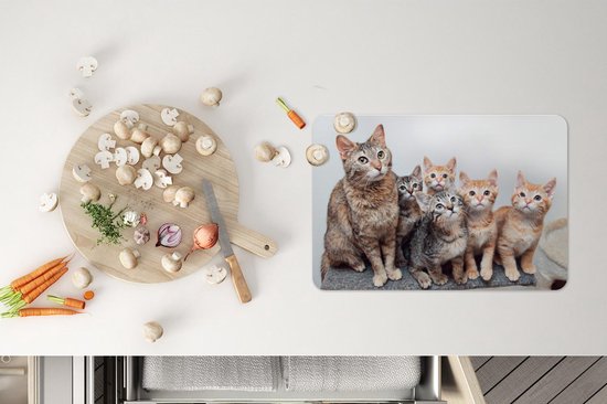 Placemat - Placemats kunststof - Kat - Kittens - Vacht - 45x30 cm - 6 stuks - Hittebestendig - Anti-Slip - Onderlegger - Afneembaar