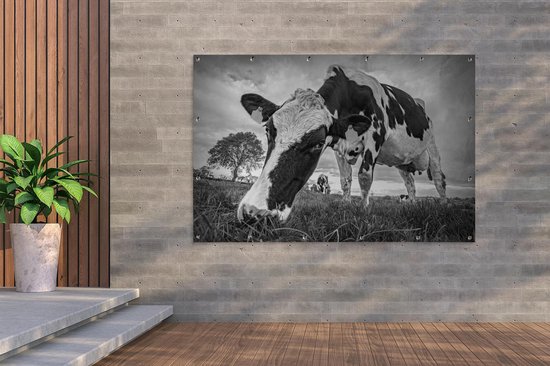 LZIMU Toile Encadrée D'animaux De La Ferme – Décoration Murale Rustique Pour Salle à Manger – Vache, Cochon, Coq, Mouton – Décoration Murale Amusante Pour Salle à Manger (blanc, 91,4 X 61