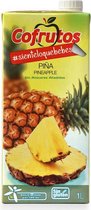 Nectar Cofrutos (1 L)