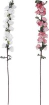 Decoratieve Bloem DKD Home Decor Roze EVA (Ethyleenvinylacetaat) (2 pcs) (15 x 124 cm)