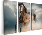 Artaza Canvas Schilderij Drieluik Wilde Paard In Het Zand  - 120x80 - Foto Op Canvas - Canvas Print