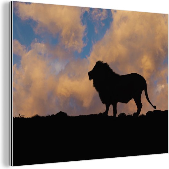Silhouette lion coucher de soleil Aluminium 120x80 cm - Tirage photo sur Aluminium (décoration murale métal)