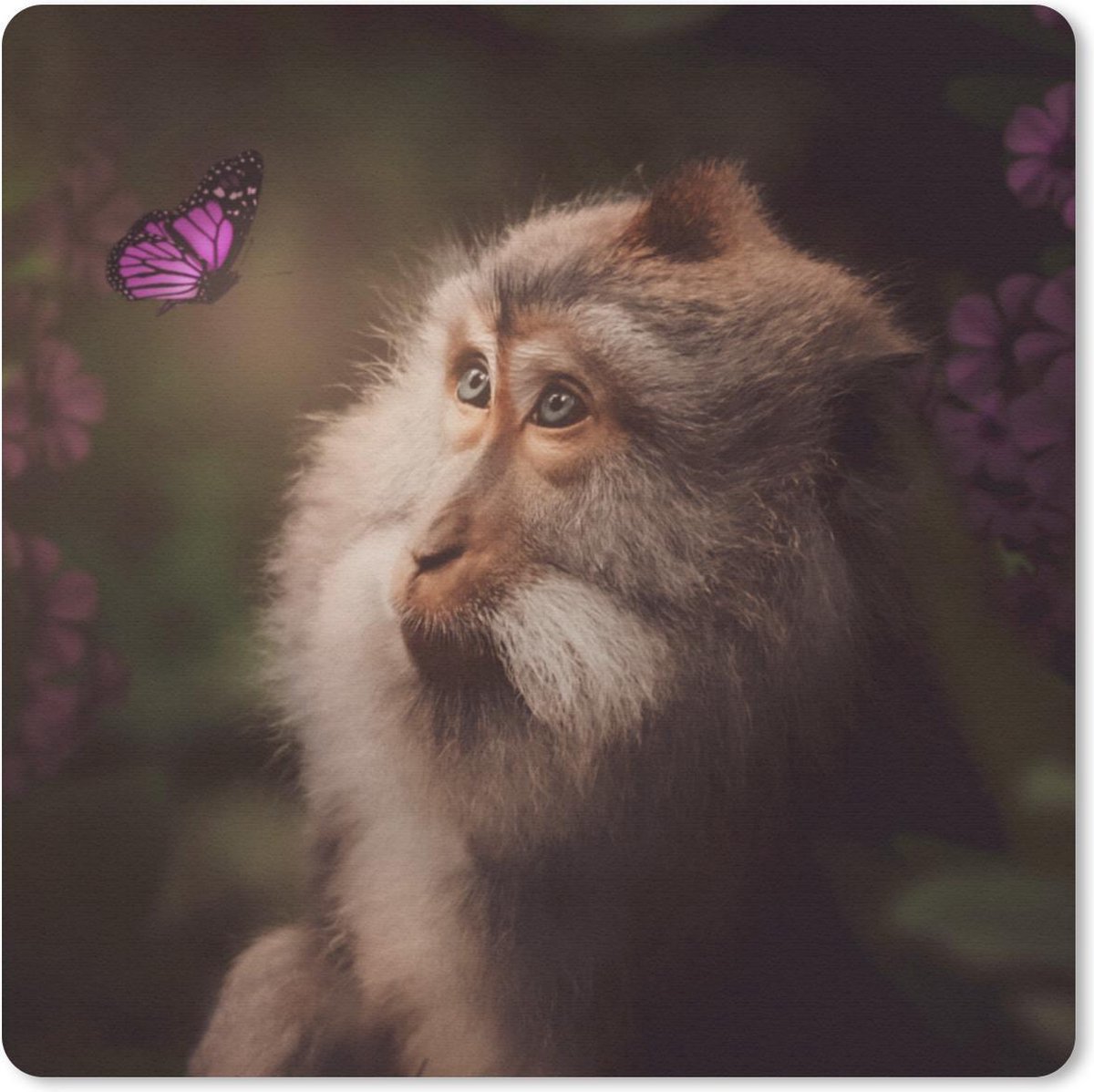 Muismat 30x30 cm - Mousepad Vlinder - Aap - Natuur - Muismatten
