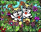 Husky's tussen de bloemen Colorvelvet