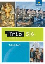 Trio 5/6. Geschichtlich-soziale Weltkunde. Arbeitsheft. Niedersachsen