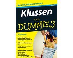 Voor Dummies - Klussen