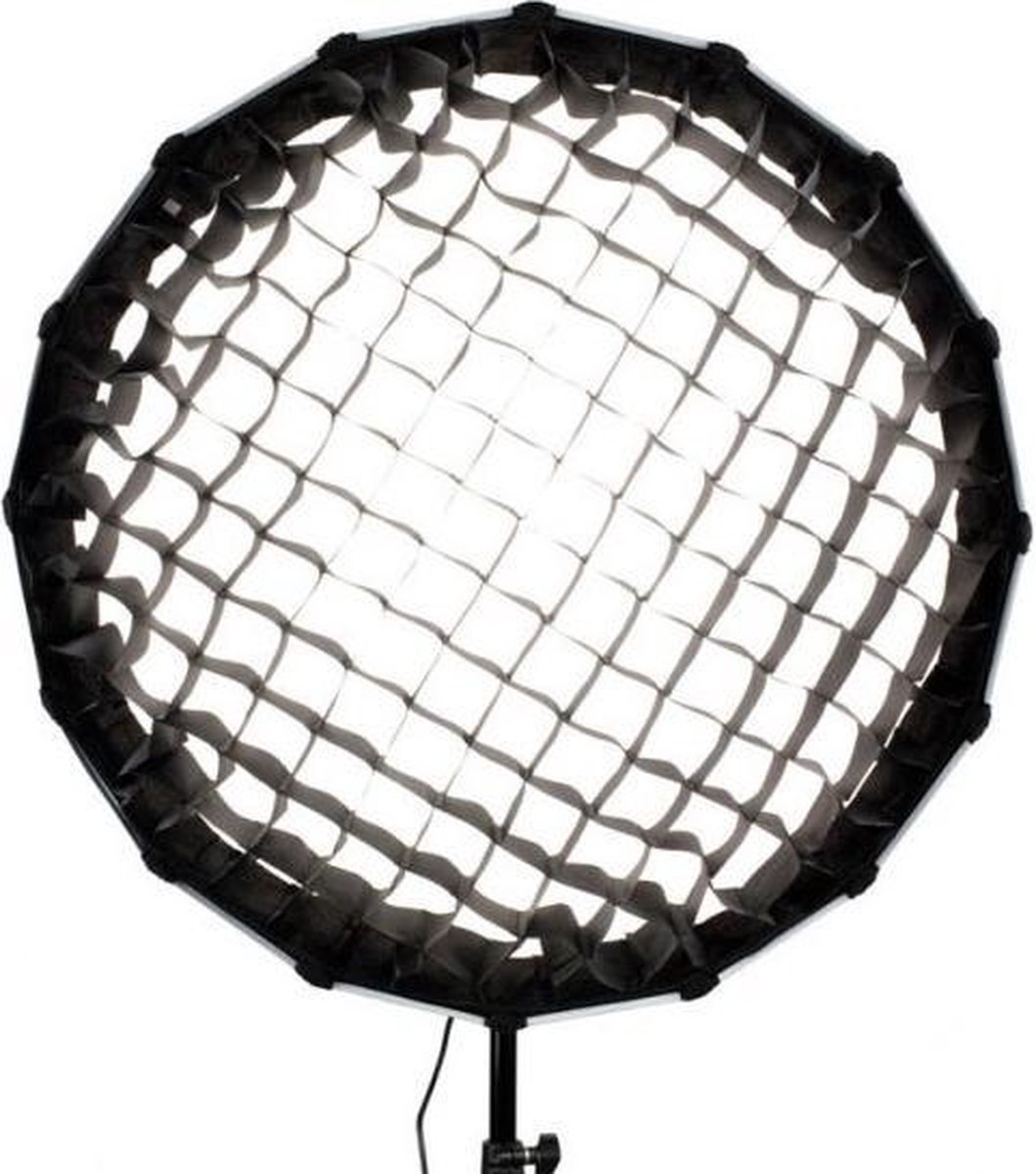 Nanlite Grid for Forza 60