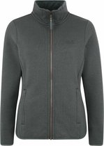 Jack Wolfskin Natori Jas Dames, greenish grey Maat XL
