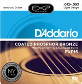 EXP16 12-53 Coated Phosphor Bronze Light
