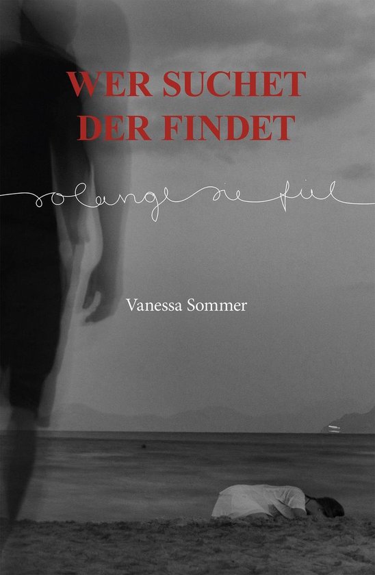 Wer suchet der findet solange sie fiel (ebook), Vanessa Sommer 9783749746033 Boeken