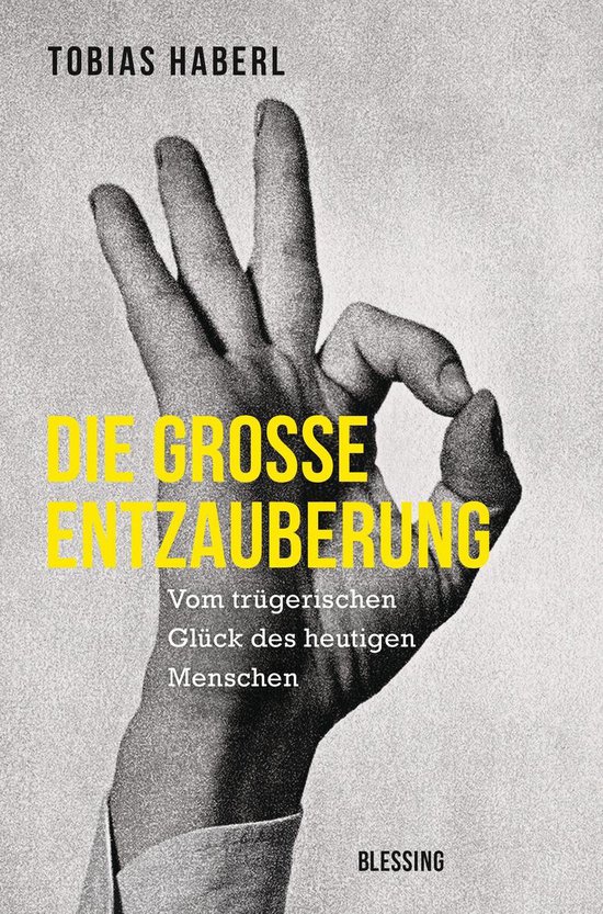 Die große Entzauberung - cover