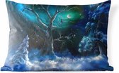 Buitenkussens - Tuin - Winterse nacht geschilderd met olieverf - 50x30 cm