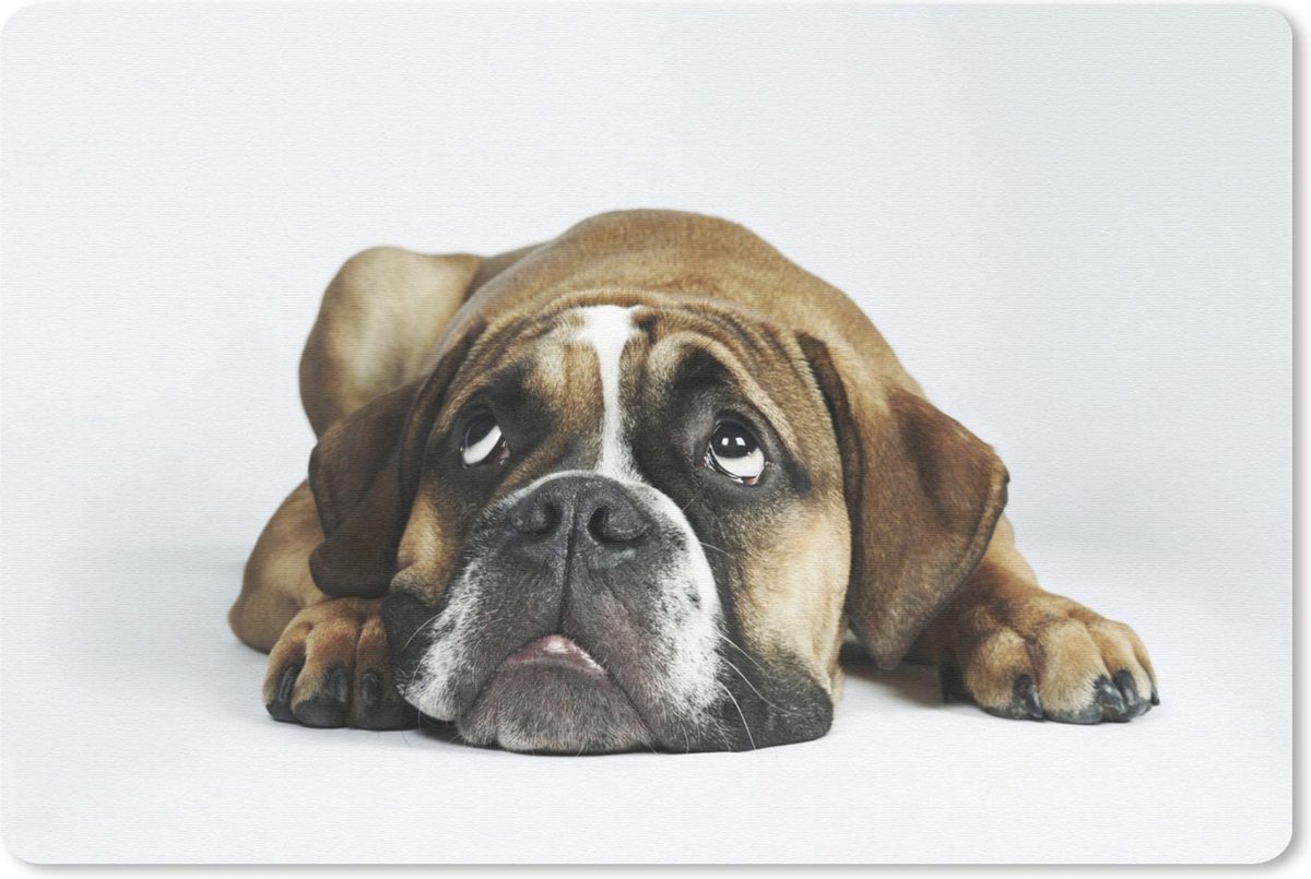 Muismat Dieren op een witte achtergrond - Bulldog hond voor witte achtergrond muismat rubber - 60x40 cm - Muismat met foto