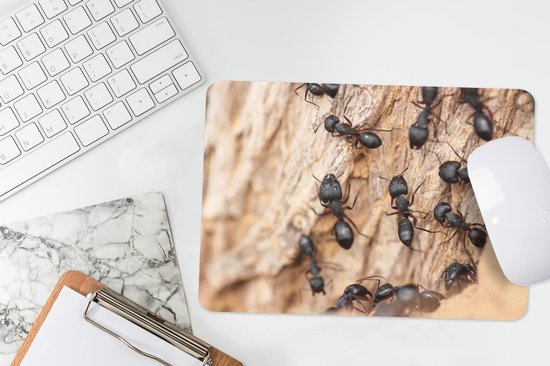 Muismat Mier - Close-up van mieren op een boomstam muismat rubber - 27x18  cm - Muismat... | bol.com