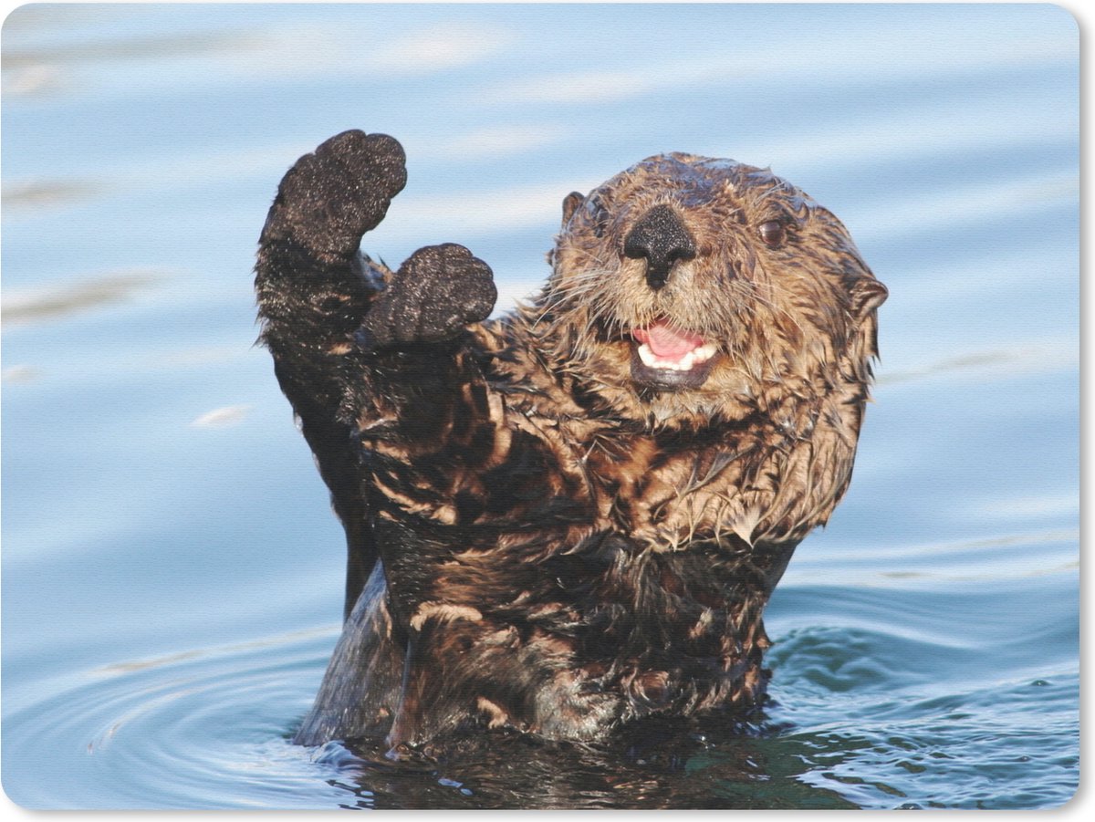 Muismat Otter - Otter in het water muismat rubber - 23x19 cm - Muismat met foto