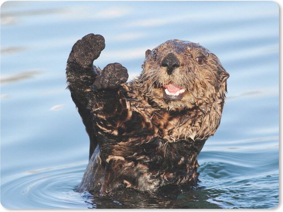 Otter muismat