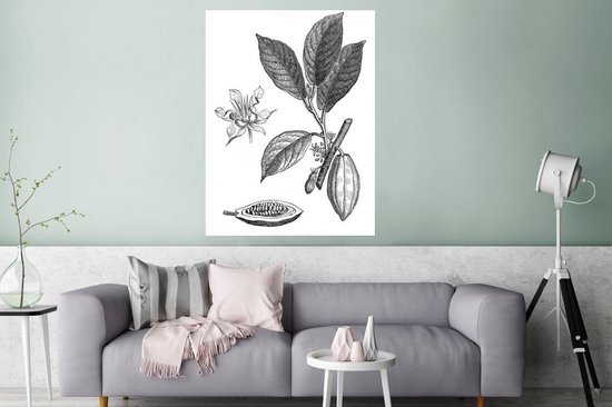 Une illustration noir et blanc d'un poster de plant de cacao 120x160 cm - Tirage photo sur Poster (décoration murale salon / chambre) XXL / Groot format!