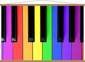 Schoolplaat – Gekleurde Piano Toetsen - 120x80cm Foto op Textielposter (Wanddecoratie op Schoolplaat)