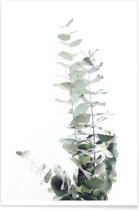 JUNIQE - Poster Eucalyptus foto -40x60 /Groen & Wit