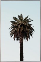 JUNIQE - Poster met kunststof lijst Palmtree -60x90 /Bruin & Groen