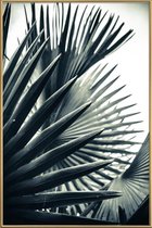 JUNIQE - Poster met kunststof lijst Palm Shade 2 -60x90 /Grijs & Groen