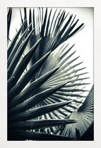 JUNIQE - Poster in houten lijst Palm Shade 2 -20x30 /Grijs & Groen