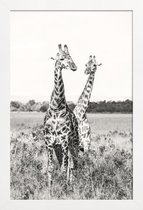JUNIQE - Poster in houten lijst Giraffenpaar -30x45 /Grijs & Wit