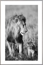 JUNIQE - Poster met kunststof lijst Lion Teaching His Cub -30x45