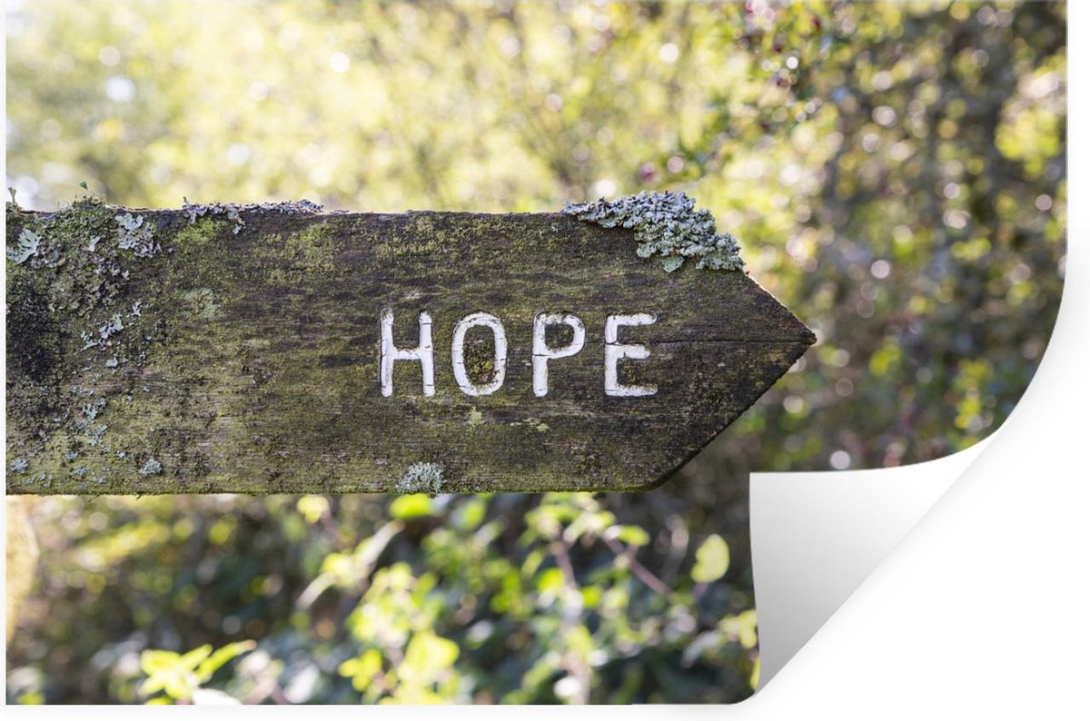 Muursticker Hoop Houten wegwijzer metwoord 'hope' erop