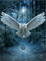 3d poster - Anne Stokes - Uil - Awake the Magic
