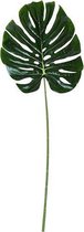 Monstera blad - 80x29x1 cm - 1 stuks