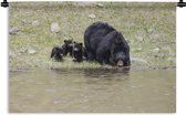 Wandkleed Drinkende beren - Zwarte beer met jongen drinken water Wandkleed katoen 120x80 cm - Wandtapijt met foto