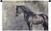 Wandkleed Fries paard - Portret van het mooie Friese paard stellen tegen wolken Wandkleed katoen 90x60 cm - Wandtapijt met foto