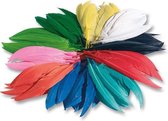 Indianen veren Folia - 10-20cm, assorti kleuren